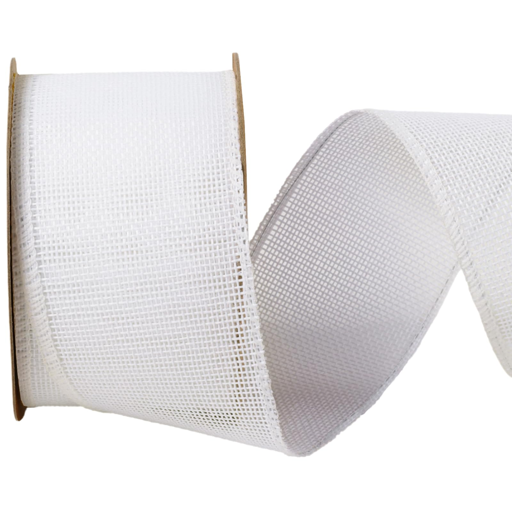 Colorful Craft Ribbon - White